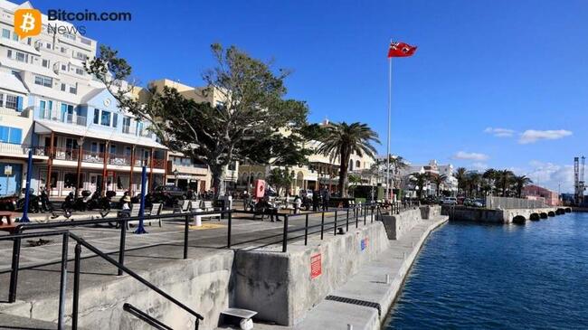 Амбиции Бермуд по Onchain: Прогрессивное Пионерство или Рискованная Перестройка?