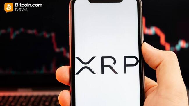 XRP стирает январские приросты на фоне капитуляции по всему рынку