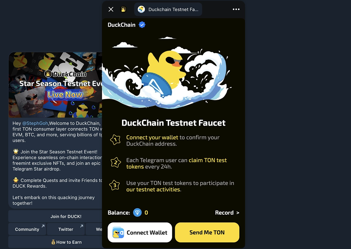 Vòi thử nghiệm DuckChain