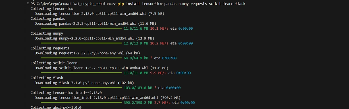 pip installation guide