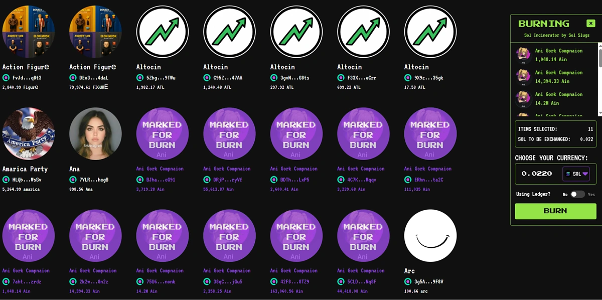 сжигание поддельных токенов ANI