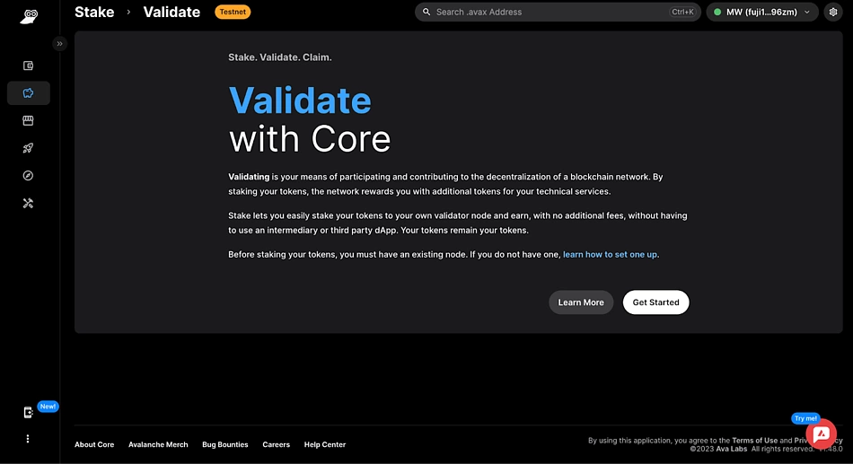 core web validate panel