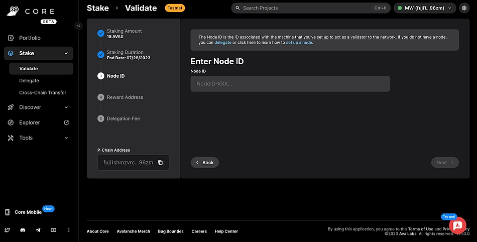 core validator node ID