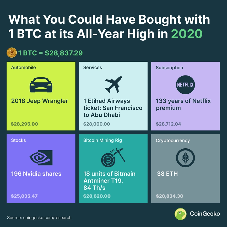 What 1 BTC Could Buy in 2020
