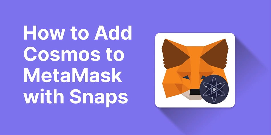 Add Cosmos to MetaMask