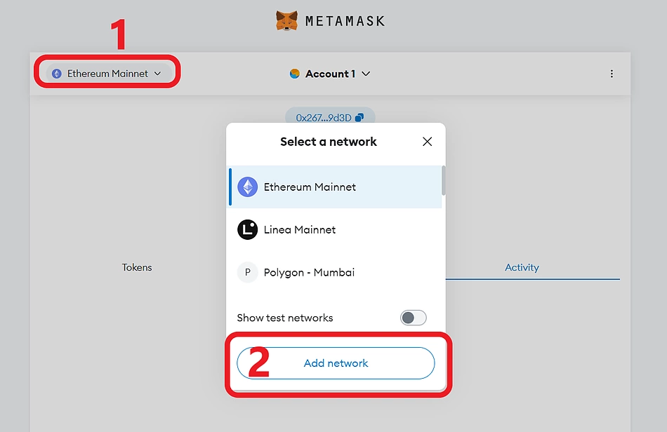 Click add new network to add Merlin to MetaMask