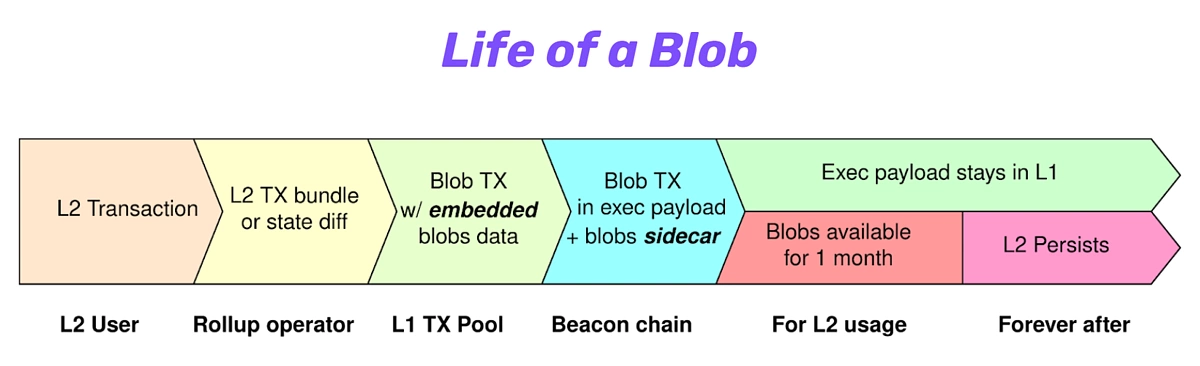 Life of a blob