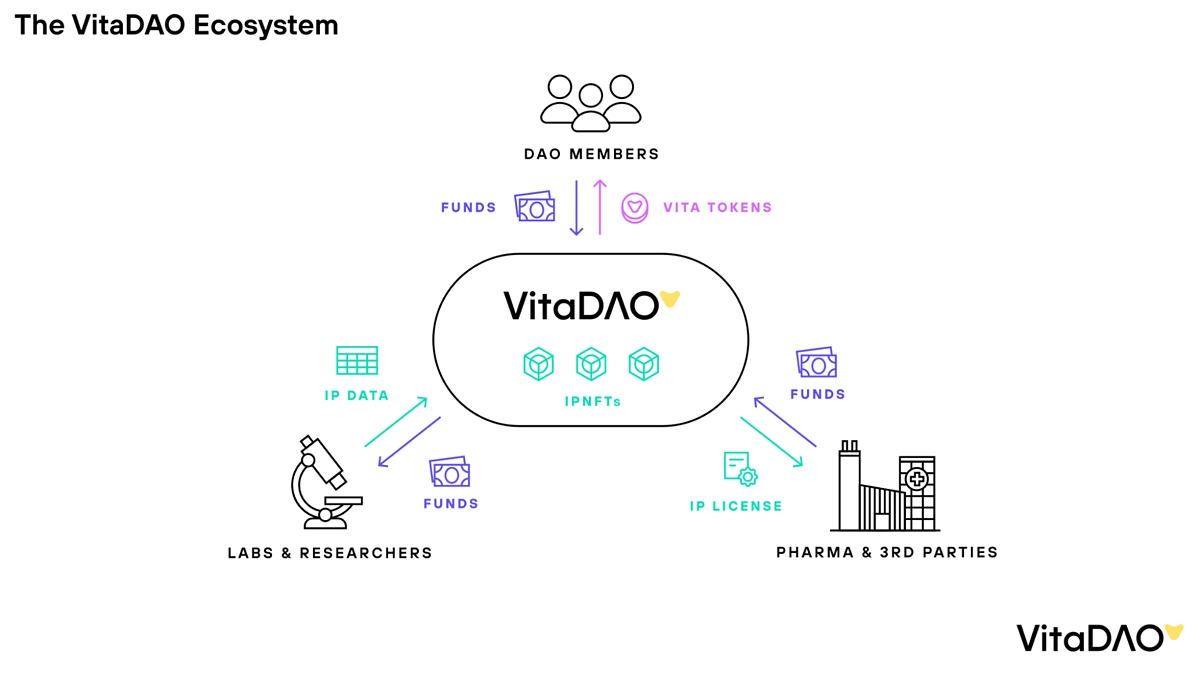 VitaDAO ecosystem