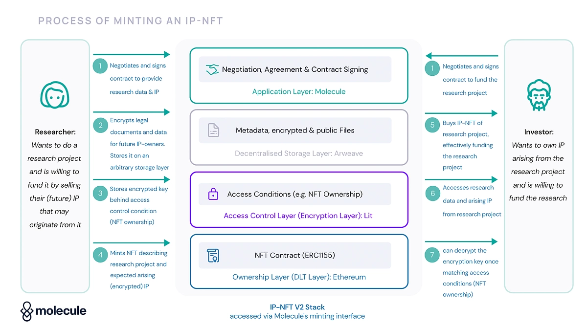 what are IP-NFTs 