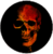 Skull-skull-icon