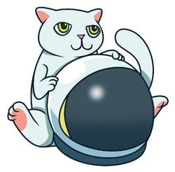 cat-token