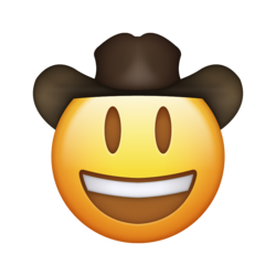 cowboy-finance
