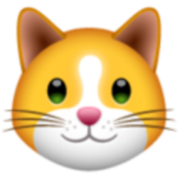 KittenFinance Logo