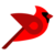 Bird.Money Logo