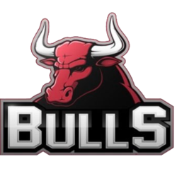 Bulls