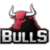 bulls icon