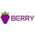 Berry Data Logo