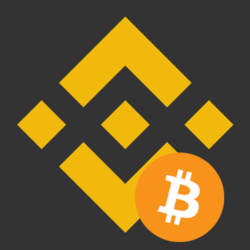 Binance Bitcoin Btcb Kurs Marktkapitalisierung Chart Und Informationen Coingecko