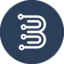 BRMV logo
