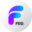 FEG BSC (OLD)