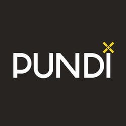 Pundi X (PUNDIX) Logo