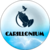 carillonium  (CAROM)