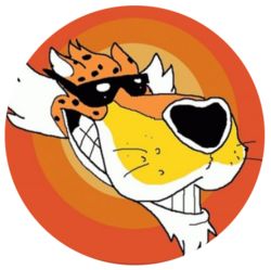 ChesterCoin to USD Chart (CTRFI/USD) | CoinGecko