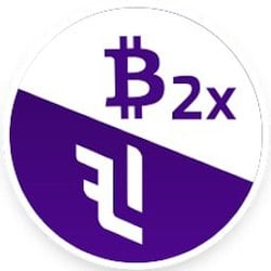 Logo of BTC 2x Flexible Leverage Index