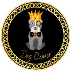 dog-owner