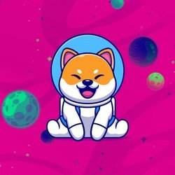 shiba-cosmos