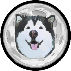 Malamute Finance