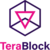 TeraBlock Logo