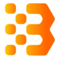 Bitcoin and Ethereum Standard logo