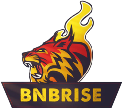 Logo of BNBRise