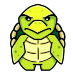 Logo Turtle (TURTLE)