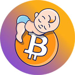 Baby Bitcoin price, BBTC chart, and market cap | CoinGecko