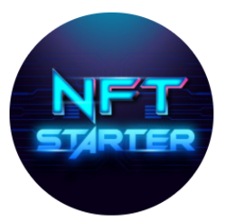 Logo of NFT Starter