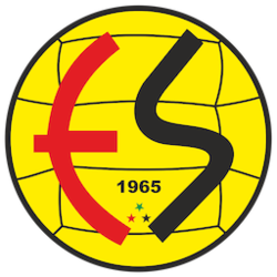 Eskişehir Fan Token (ESES) logo