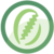 Lekan Logo