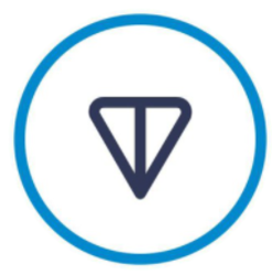  The Open Network ( toncoin)