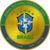 Brazil National Football Team Fan Token Logo