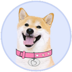 DogeGF on the Crypto Calculator and Crypto Tracker Market Data Page