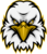 Eagle Vision Logo