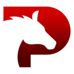 Pegaxy Stone logo