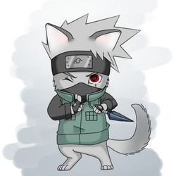 kakashiinuv2