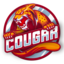 Giá CougarSwap (CGS)