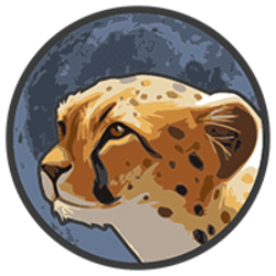 token-cheetah