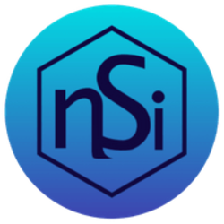 Logo of nSights