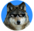 Wolfecoin-wolfe-icon