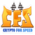 CryptoForSpeed Logo
